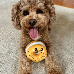 Territory Hide-A-Treat Dog Toy