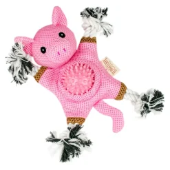 Territory 2-in-1 Fetch & Tug Dog Toy