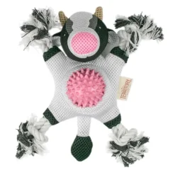 Territory 2-in-1 Fetch & Tug Dog Toy