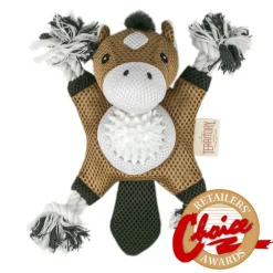 Territory 2-in-1 Fetch & Tug Dog Toy