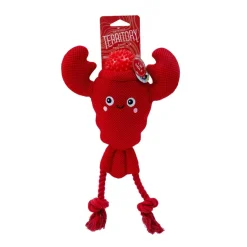 Territory 2-in-1 Floating Dog Toy