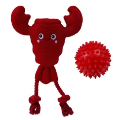 Territory 2-in-1 Floating Dog Toy