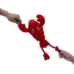 Territory 2-in-1 Floating Dog Toy