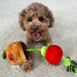Territory Treat-and-Tug Dog Toy