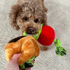 Territory Treat-and-Tug Dog Toy