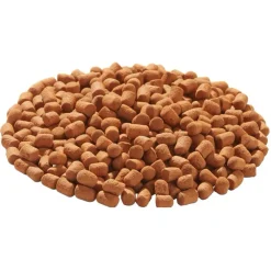 TetraFauna ReptoTreat Suprema Turtle Food Supplement (2.18 oz)