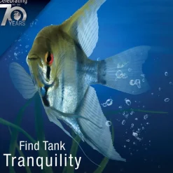 Tetra PRO PlecoWafers Complete Diet for Algae Eaters