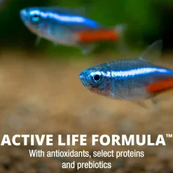 Tetra TetraMin Tropical Flakes Fish Food