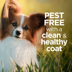 TevraPet Vetality Avantect II Flea & Tick Shampoo for Dogs, 8-oz