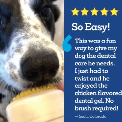 TevraPet Vetality Brush Free Oral Gel for Dogs, Peanut Butter Flavor, 60g