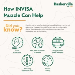 The Company of Animals Baskerville Invisa Muzzle