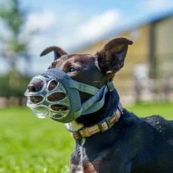The Company of Animals Baskerville Invisa Muzzle