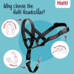 The Company of Animals Halti Head Collar For Dogs
