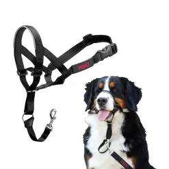 The Company of Animals Halti Head Collar For Dogs