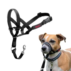 The Company of Animals Halti Head Collar For Dogs