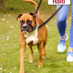 The Company of Animals Halti Optifit For Dogs