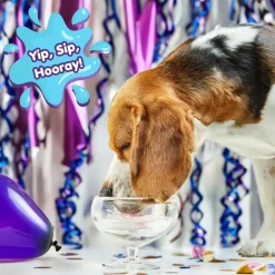 The Lazy Dog Cookie Co. Pup-Pop Birthday Water Vanilla Cake Flavor Dog Treat, 15.5-oz