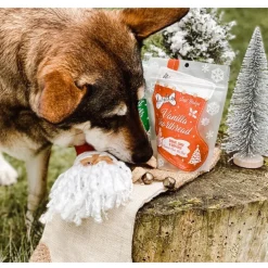 The Lazy Dog Cookie Co. Vanilla Shortbread Soft-Baked Stocking Treats For Dogs (5 oz)