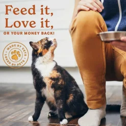 The Missing Link Digestion Supplement For Dogs & Cats (1 lb)