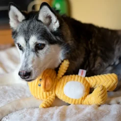 ThoozyPet Tuff & Cuddly Duck Plush Dog Toy, 12.5