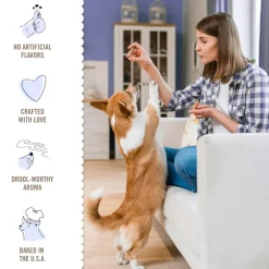 Three Dog Bakery Grain Free Soft-Baked Pumpkin Flavored Woofers Treats For Dogs (13 oz)