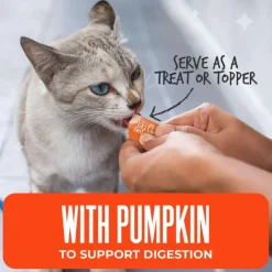 Tiki Cat Friends Stix Chicken & Pumpkin Recipe in Creamy Gravy Lickable Cat Treats (0.4 oz x 4 servings)