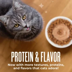 Tiki Cat Friends Stix Tuna & Pumpkin Recipe in Creamy Gravy Lickable Cat Treats (0.4 oz x 4 servings)