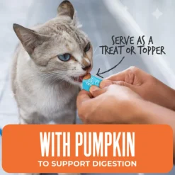 Tiki Cat Friends Stix Tuna & Pumpkin Recipe in Creamy Gravy Lickable Cat Treats (0.4 oz x 4 servings)