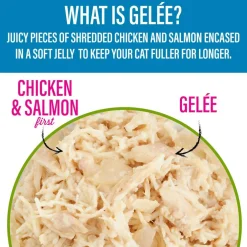 Tiki Cat Luau Lean Gelee Chicken and Salmon Grain-Free Wet Food For Cats (2.8 oz x 12 Pouches)