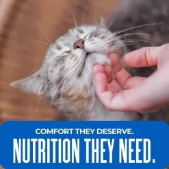 Tiki Cat Silver Comfort Chicken, Chicken Liver & Pumpkin Recipe in Broth Low Phosphorus Puree for Cats Age 11+ (6 oz x 6 pouches)