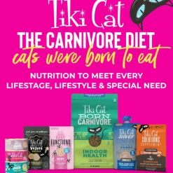 Tiki Cat Solutions Supplement Skin & Coat Salmon Recipe in Broth for Cats (0.28 oz x 20 Sachets)
