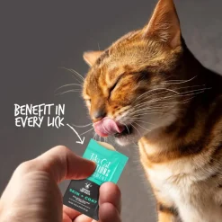Tiki Cat Solutions Supplement Skin & Coat Salmon Recipe in Broth for Cats (0.28 oz x 20 Sachets)
