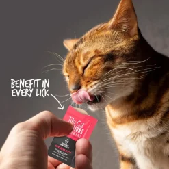 Tiki Cat Solutions Supplement Mobility Chicken Recipe in Broth for Cats (0.28 oz x 20 sachets)