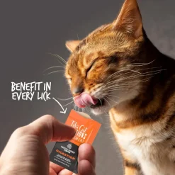 Tiki Cat Solutions Supplement Digestion Chicken & Egg Recipe in Broth for Cats (0.28 oz x 20 sachets)