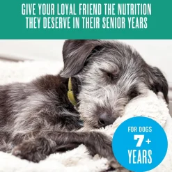 Tiki Dog Senior Mousse Grain-Free Chicken, Lamb & Pumpkin in Broth Wet Dog Food, 3.5-oz pouch, case of 12