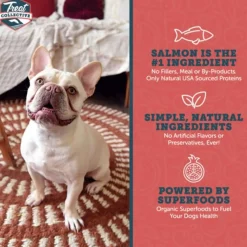 Treat Collective Salmon + Pomegranate Training Dog Treats (9 oz)