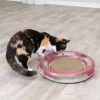 Trixie Cat Race & Scratch Interactive Cat Toy