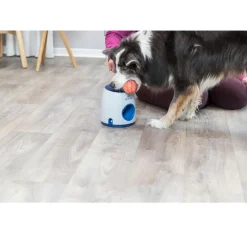 Trixie Dog Activity Ball & Treat Strategy Game
