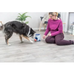 Trixie Dog Activity Ball & Treat Strategy Game