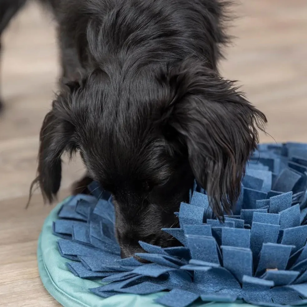 Trixie Dog Activity Snuffle Bowl