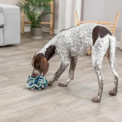 Trixie Dog & Cat Activity Snuffle Ball