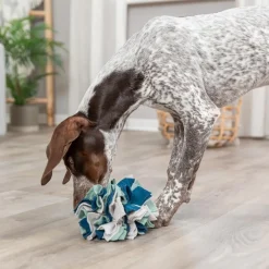 Trixie Dog & Cat Activity Snuffle Ball