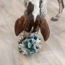 Trixie Dog & Cat Activity Snuffle Ball