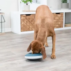 Trixie Dog Slow Feeding Rocking Bowl