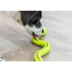 Trixie Dog Snack Snake Interactive Dog Toy, Assorted Colors