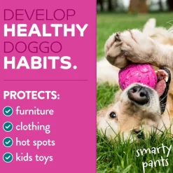TropiClean Chew Stop Behavior Aid Dog & Home Spray (8 oz)