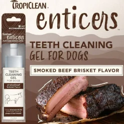 TropiClean Enticers Dental Cleaning Gel for Dogs Smoked Brisket Flavor