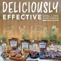 TropiClean Enticers Dental Cleaning Gel for Dogs Smoked Brisket Flavor