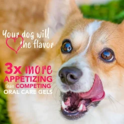 TropiClean Enticers Dental Cleaning Gel Honey Chicken Dog (2 oz)