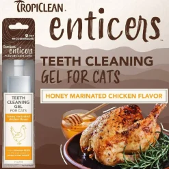 TropiClean Enticers Teeth Cleaning Honey Marinated Chicken Flavor for Cats (2oz)